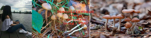 MDMA Premium VHQ Алексеевка