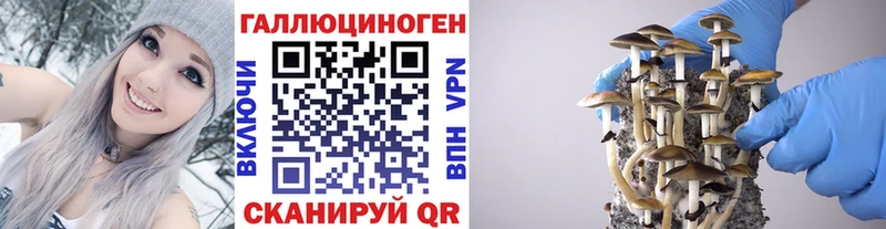 Псилоцибиновые грибы Psilocybe как найти Мирный